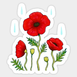 Poppies in the Rain Sticker